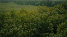 See - Season 03 Episode 02